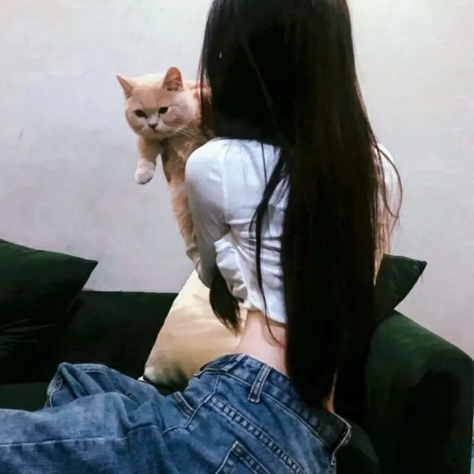 真正的正义6 在线观看